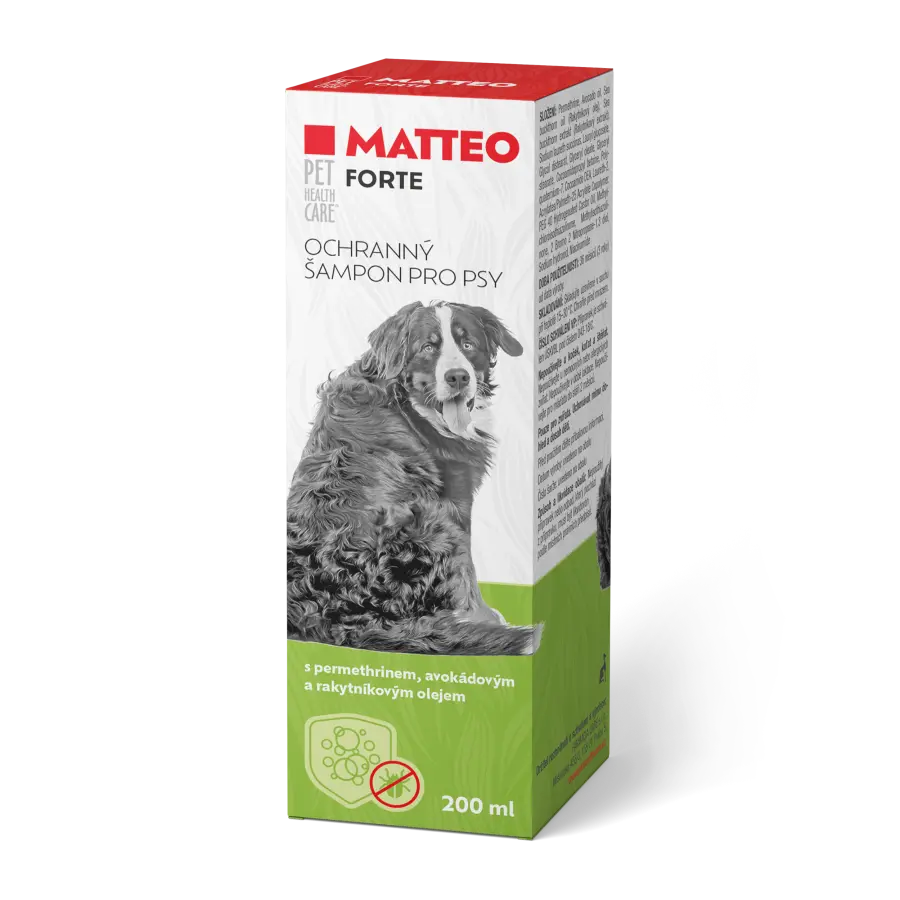 11296-3661205_matteo forte_packshot v2